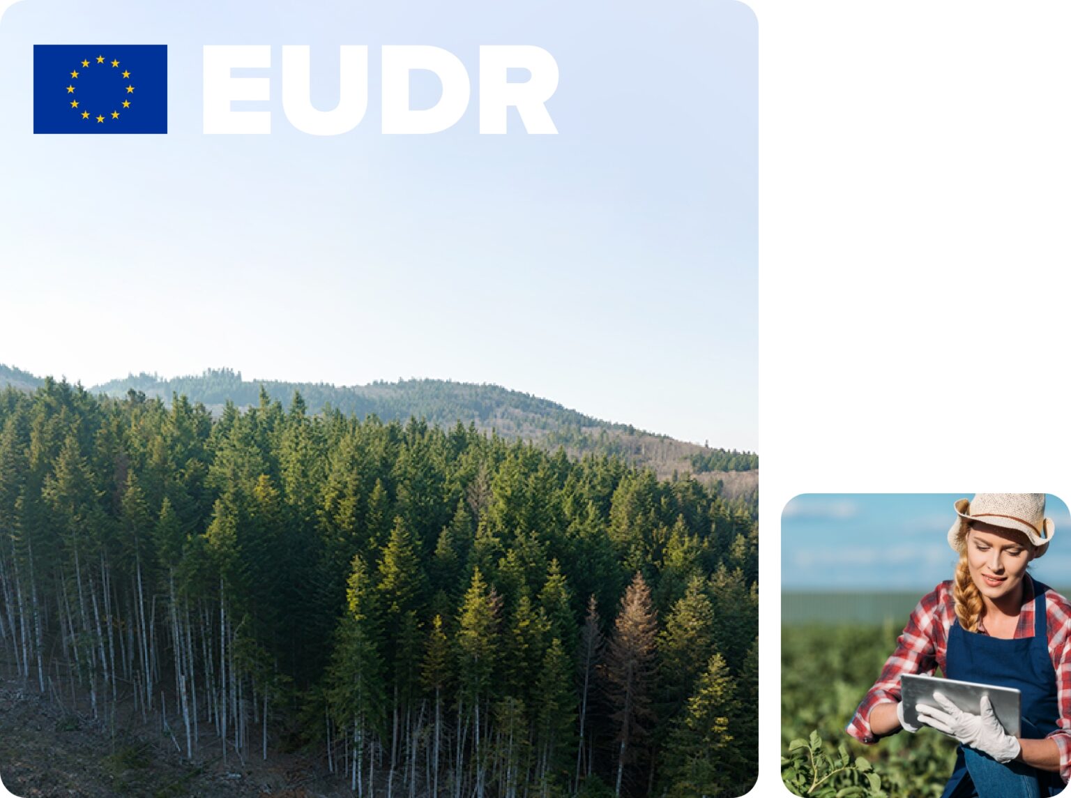 solutions_eudr
